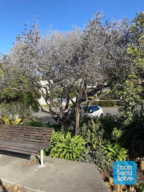 Parks — a report photo