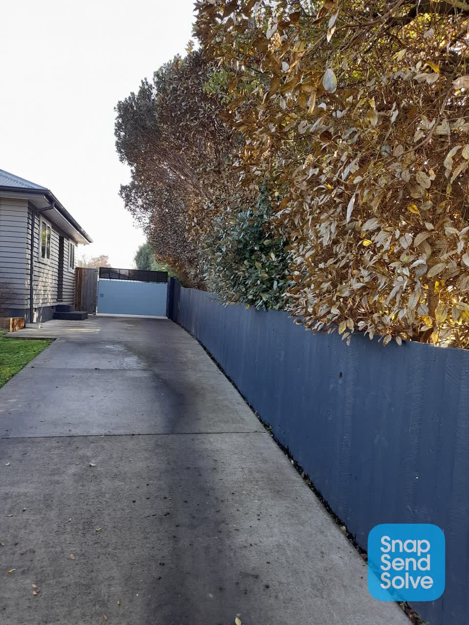 The photograph attached to this parks report