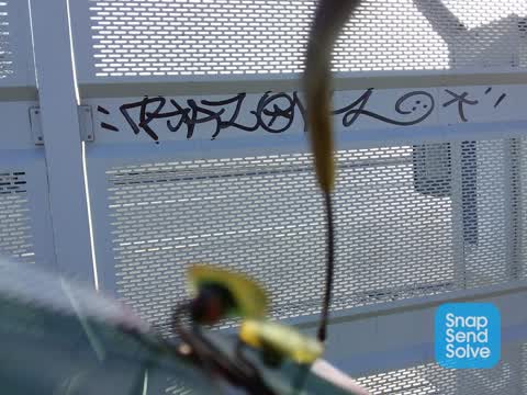 Graffiti, a report photo