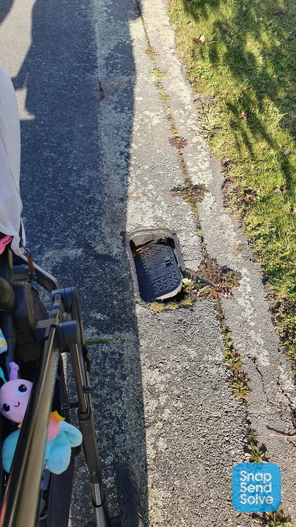 The photograph attached to this roading/streets report