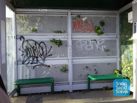 Graffiti, a report photo