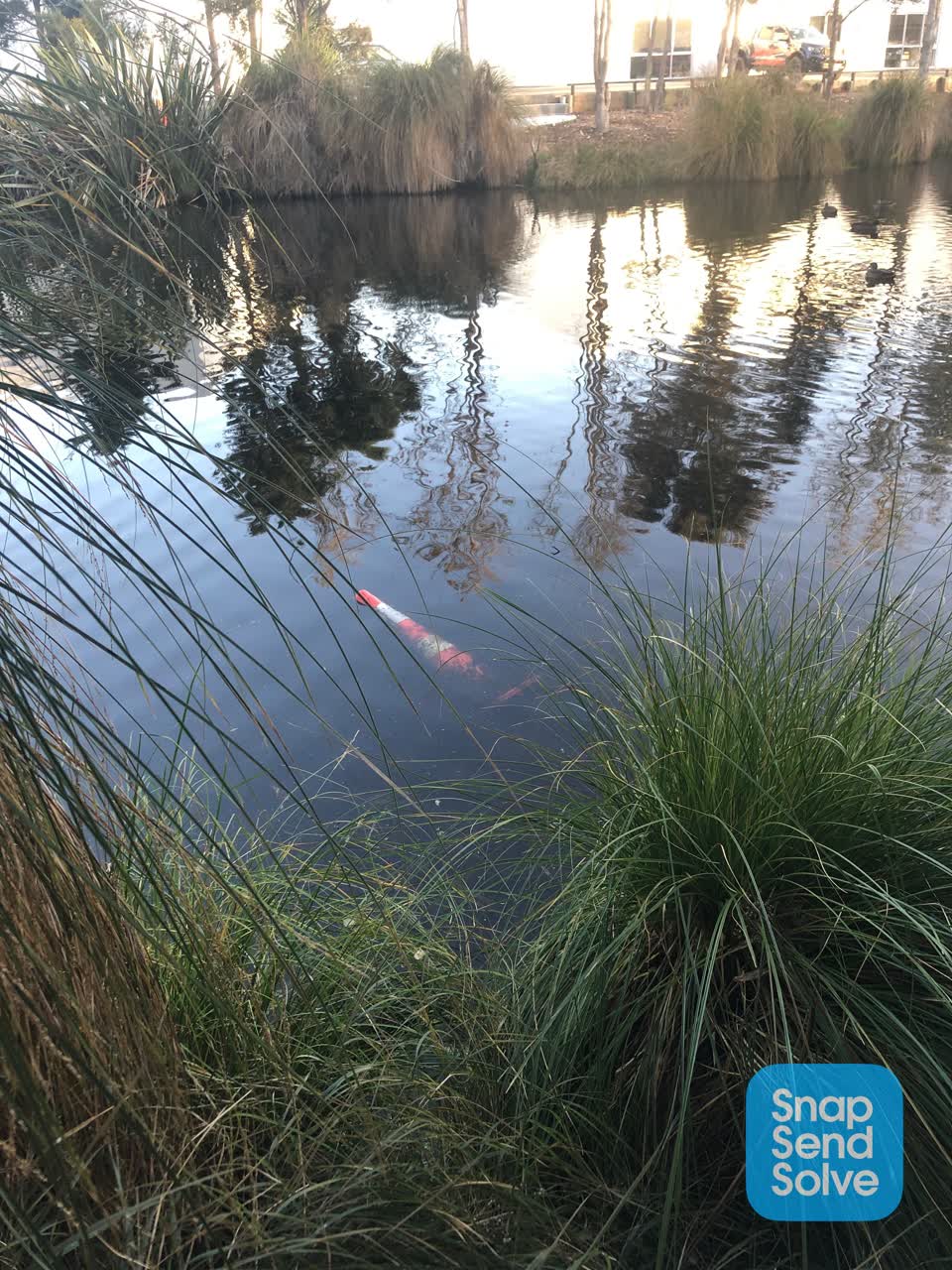 The photograph attached to this parks report