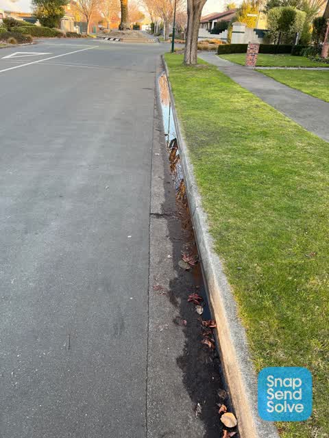 Roading/Streets, a report photo