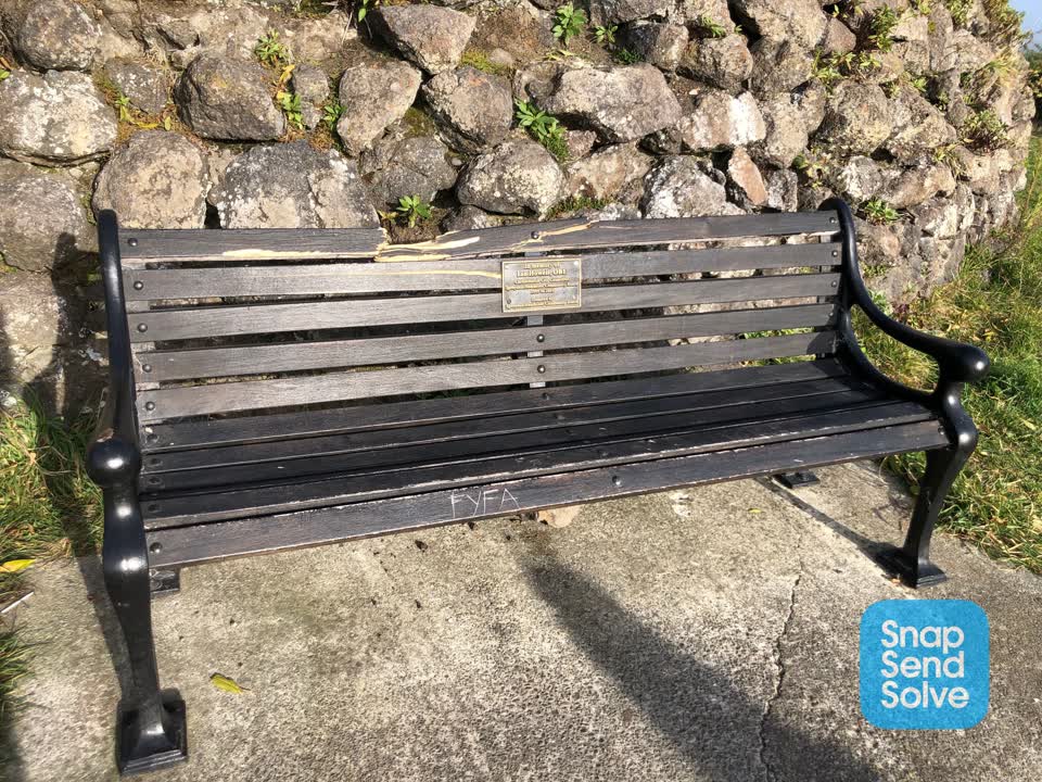 The photograph attached to this parks report