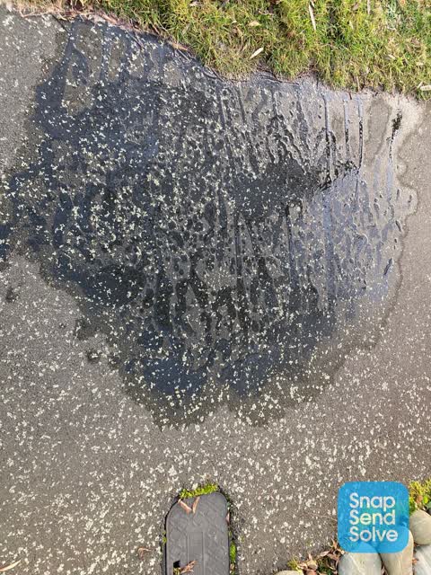 Water Leak, a report photo