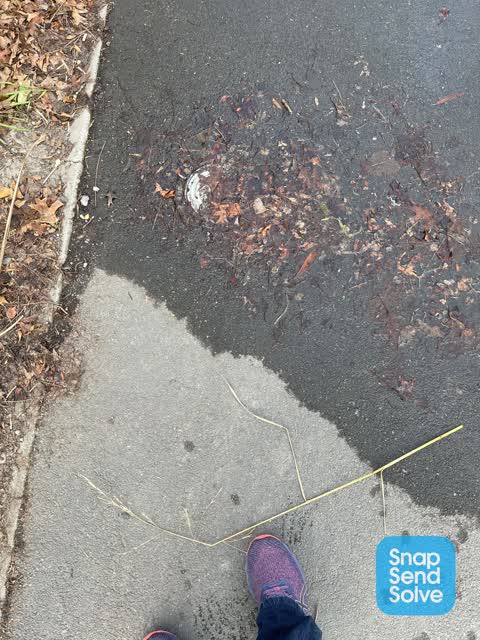 Water Leak, a report photo