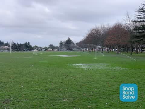 Parks, a report photo