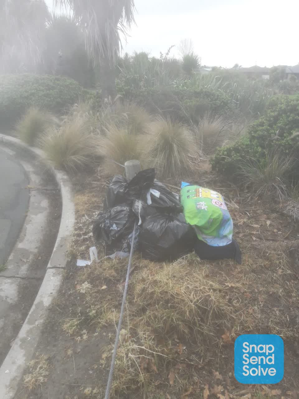 The photograph attached to this rubbish/recycling report