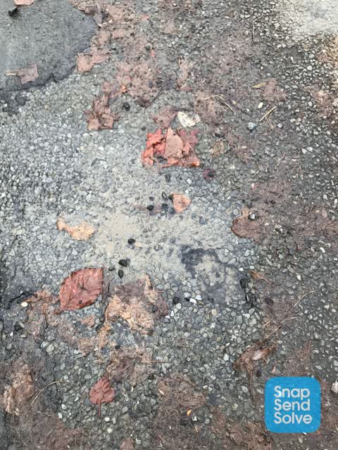 Water Leak, a report photo