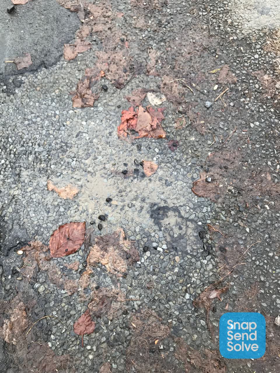 The photograph attached to this water leak report