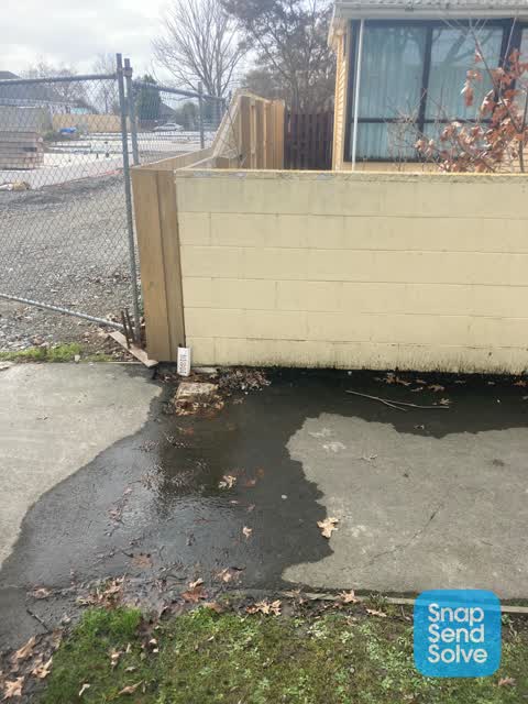 Water Leak, a report photo