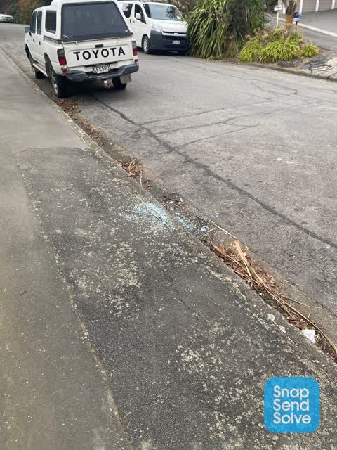 Roading/Streets, a report photo