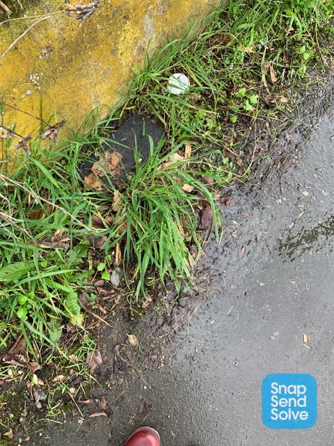 Water Leak, a report photo