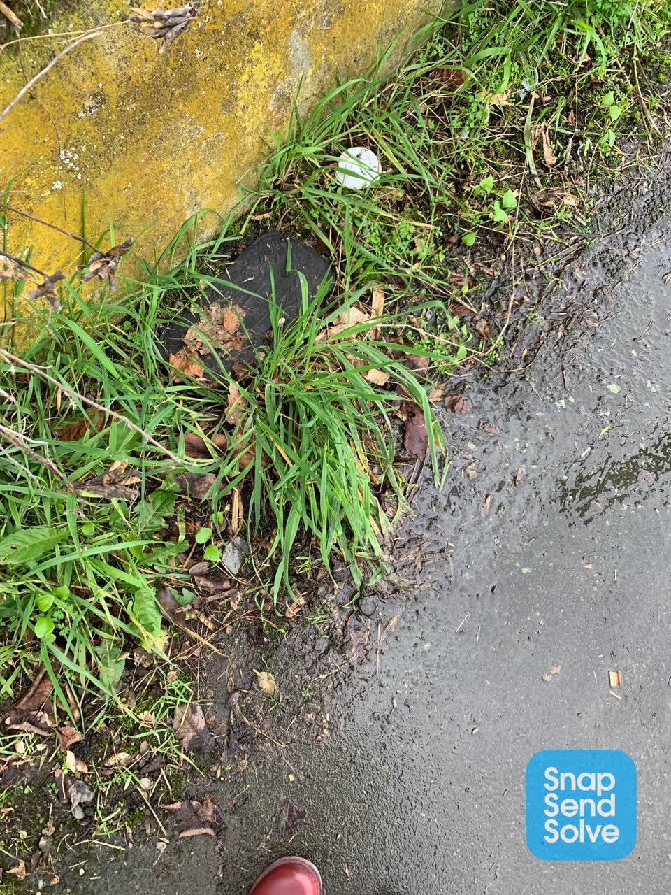 The photograph attached to this water leak report