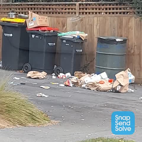 Rubbish/Recycling, a report photo
