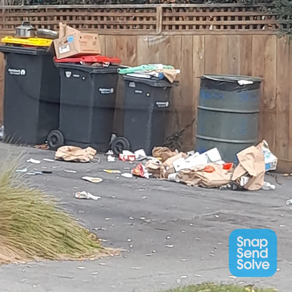 The photograph attached to this rubbish/recycling report
