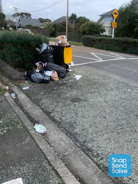Rubbish/Recycling, a report photo