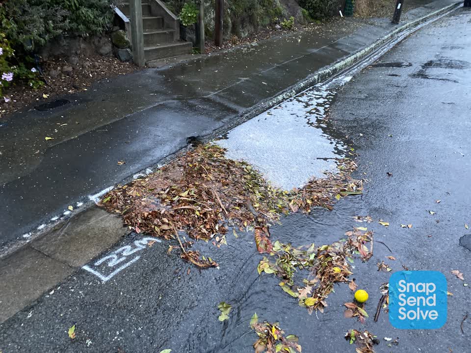 The photograph attached to this roading/streets report