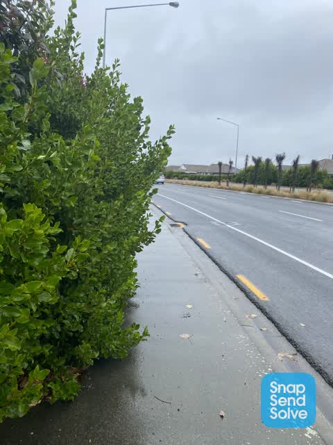 Roading/Streets, a report photo
