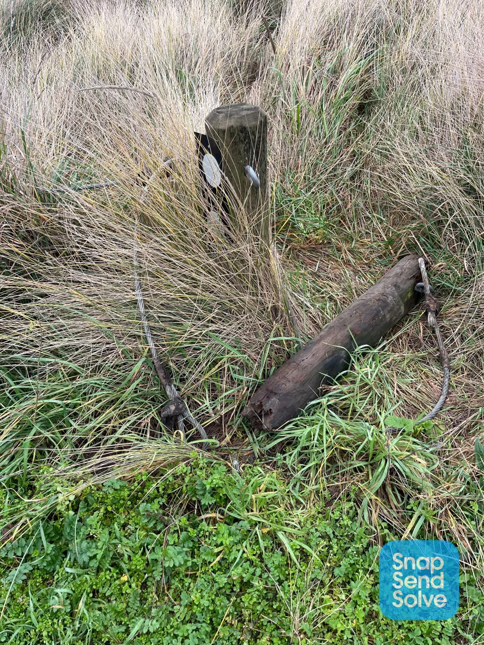 The photograph attached to this parks report