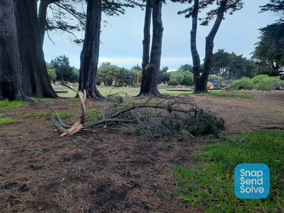 The photograph attached to this parks report