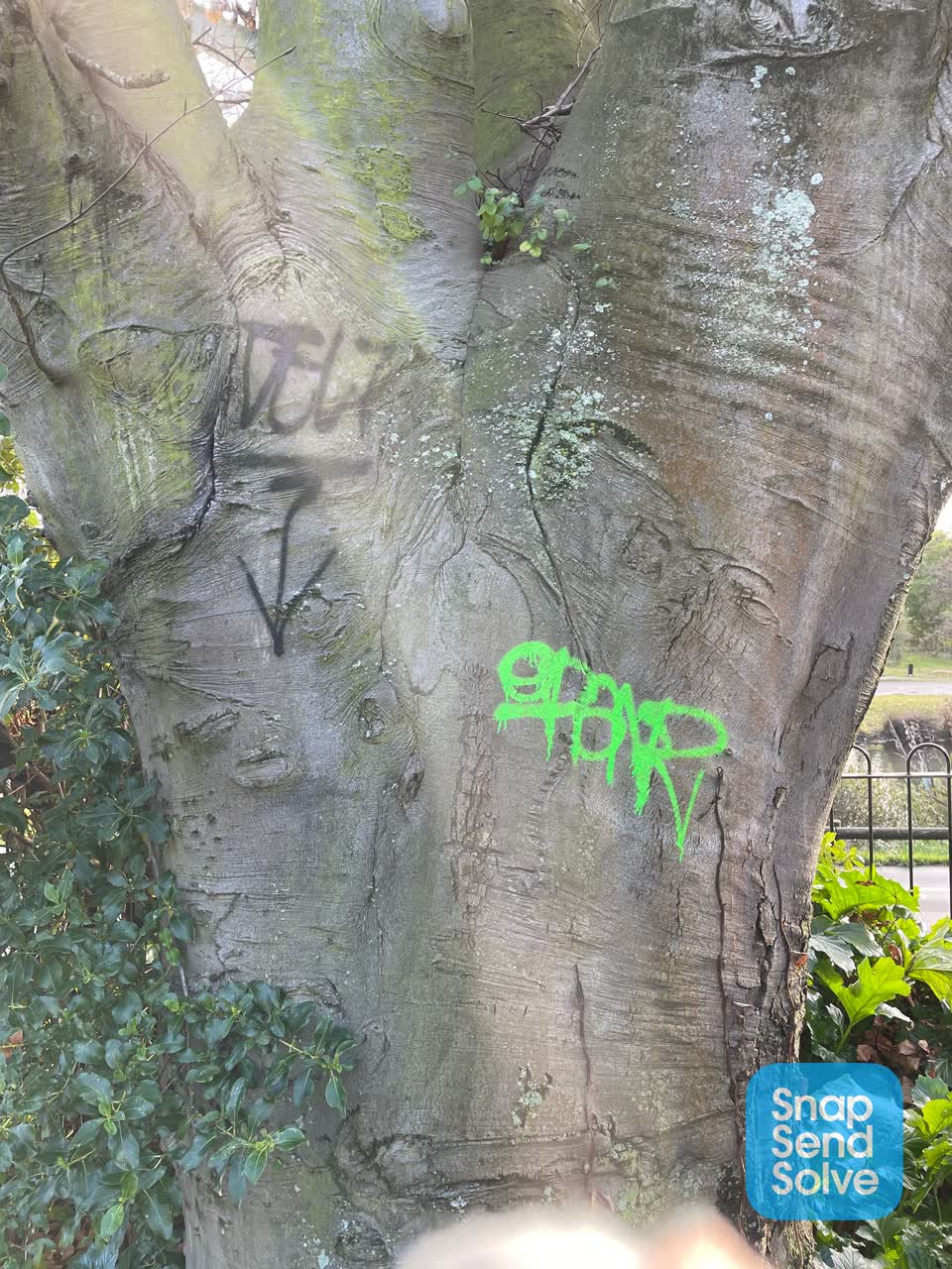 The photograph attached to this graffiti report