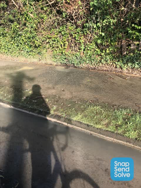Water Leak, a report photo