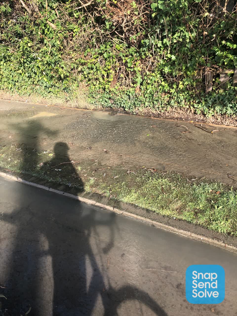 The photograph attached to this water leak report