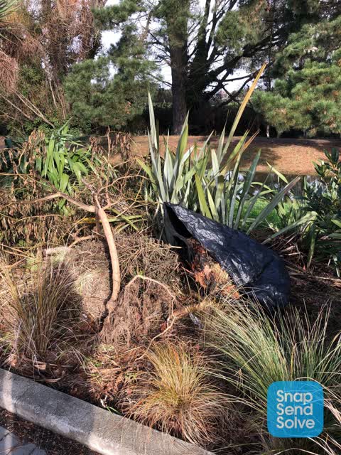 Parks, a report photo