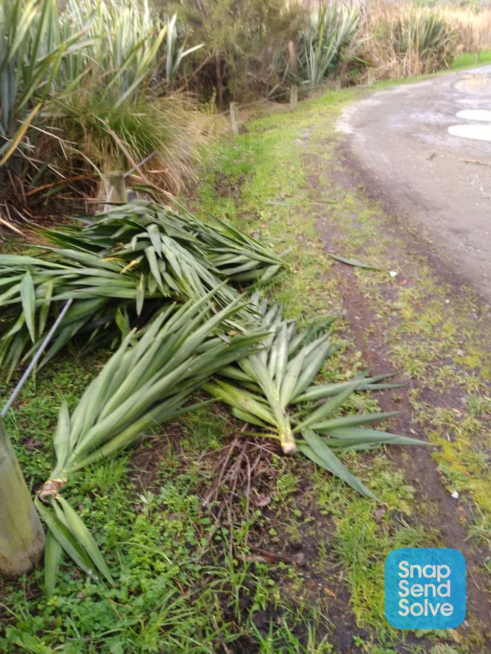 The photograph attached to this parks report
