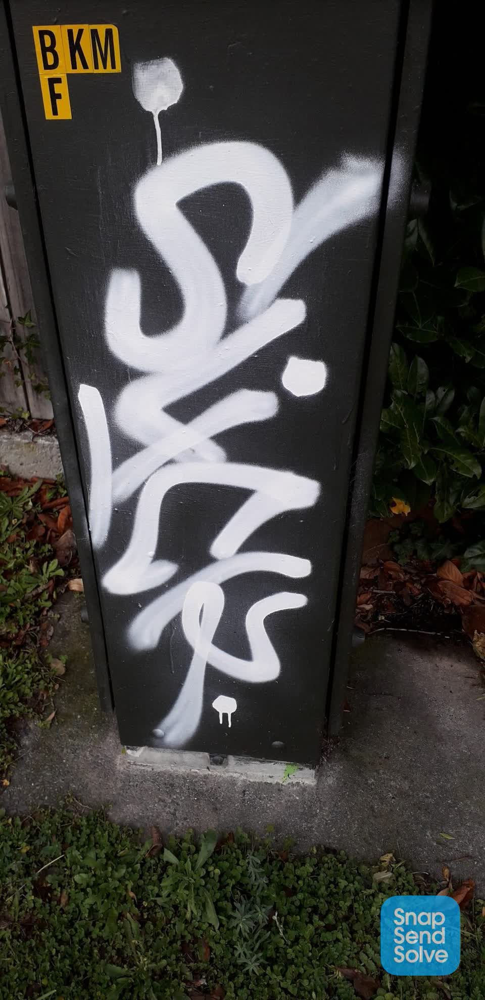 The photograph attached to this graffiti report