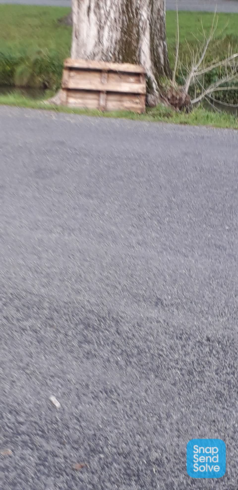 The photograph attached to this rubbish/recycling report