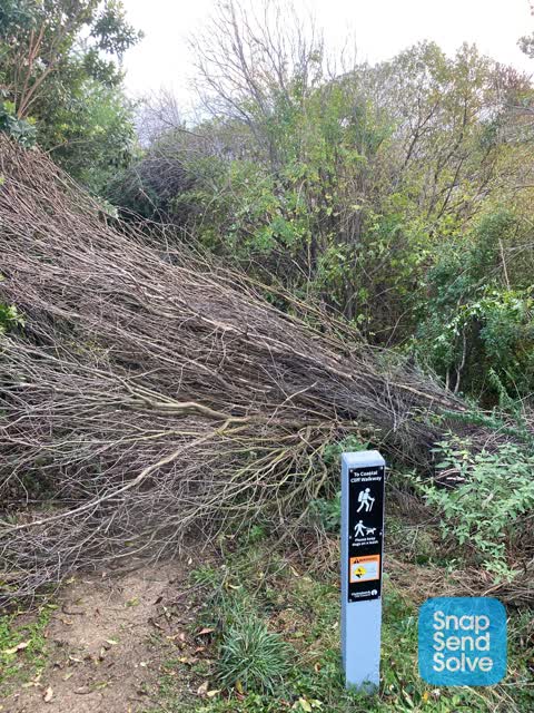 Parks, a report photo