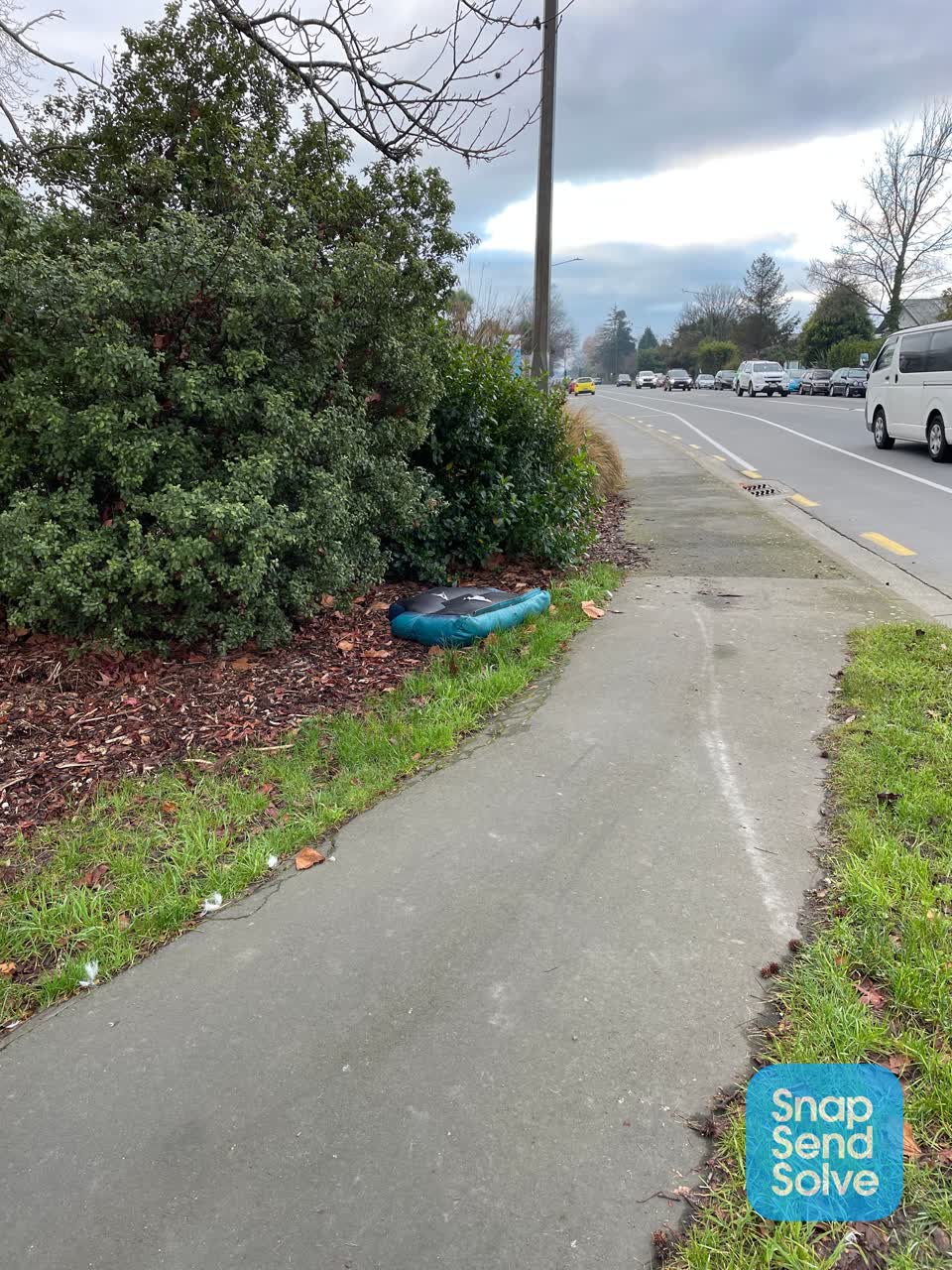 The photograph attached to this rubbish/recycling report