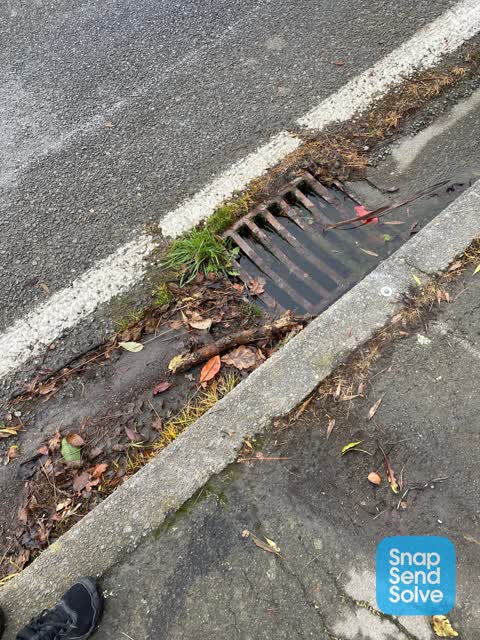 Sewer - Leak / Blockage, a report photo