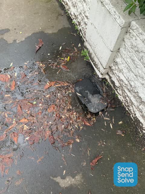 Water Leak, a report photo