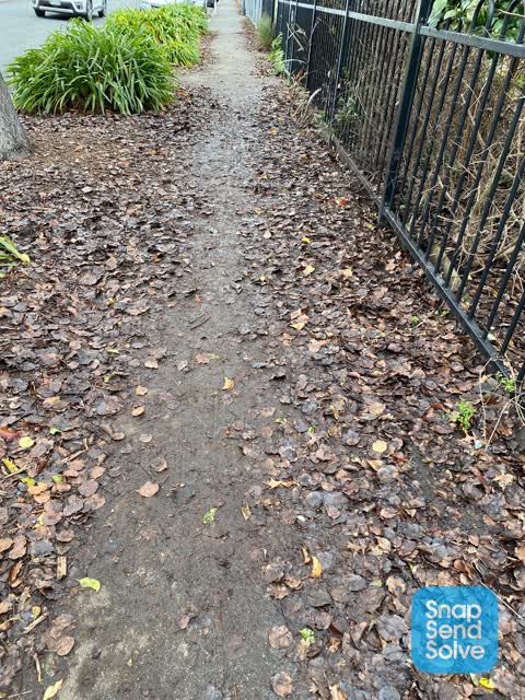 Roading/Streets, a report photo