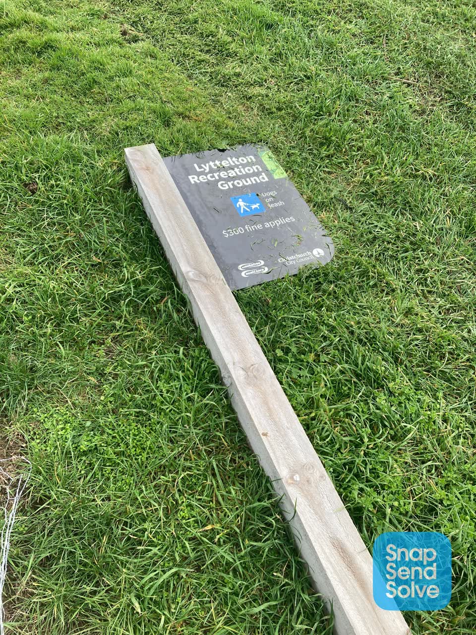 The photograph attached to this parks report
