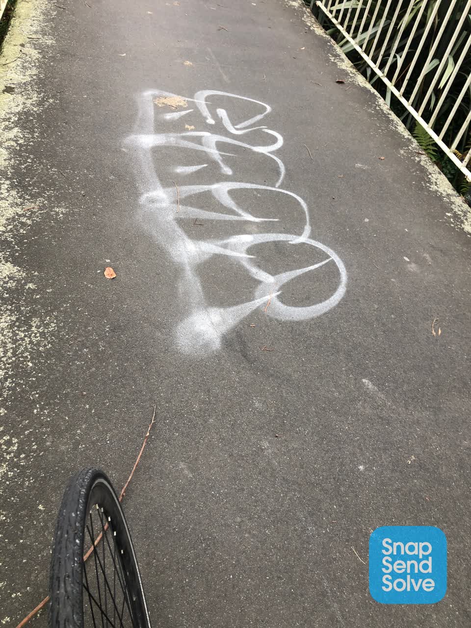 The photograph attached to this graffiti report