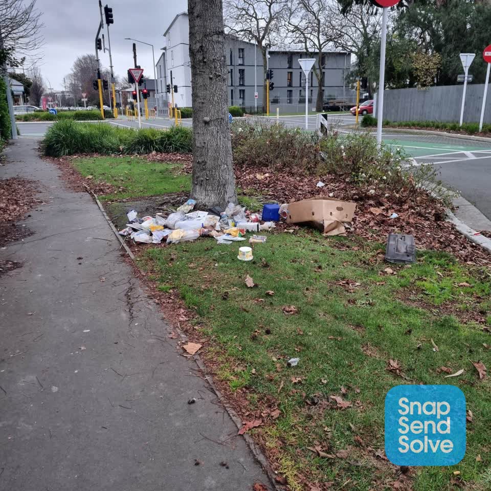 The photograph attached to this rubbish/recycling report