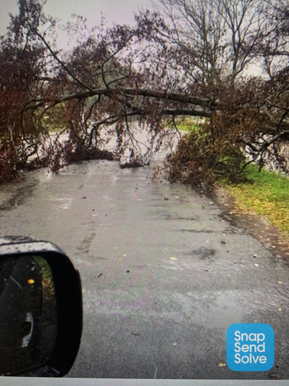 The photograph attached to this roading/streets report