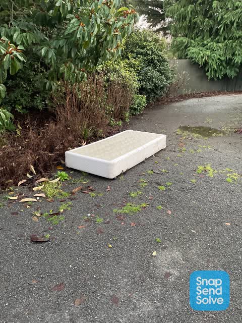 Rubbish/Recycling — a report photo