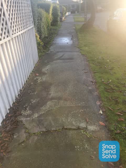 Roading/Streets, a report photo