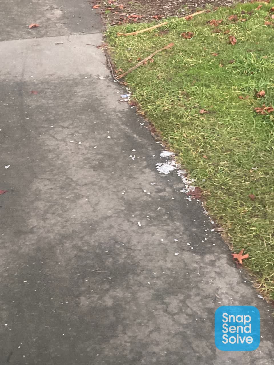 The photograph attached to this parks report