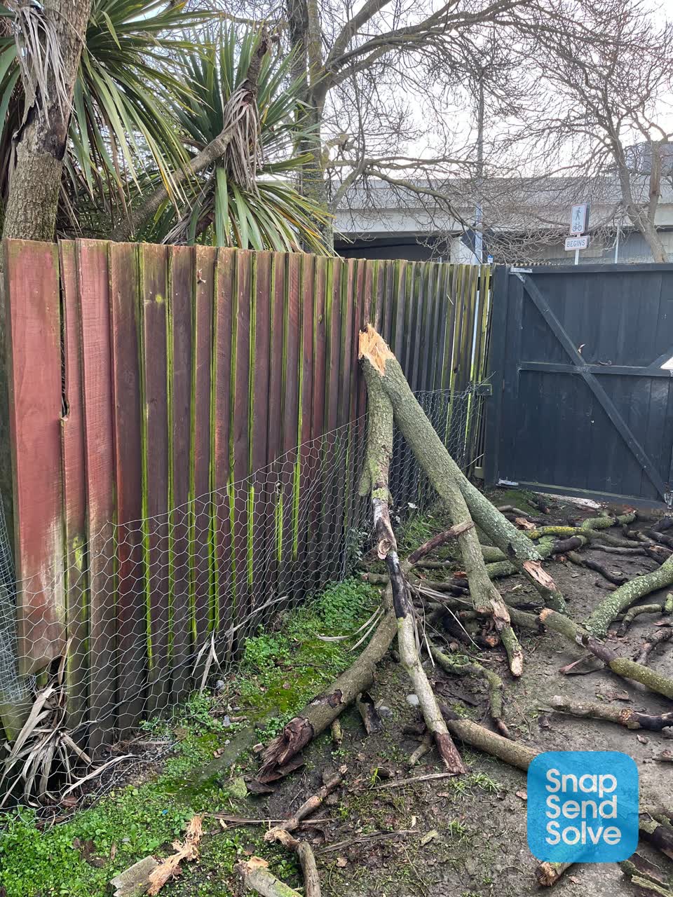 The photograph attached to this parks report