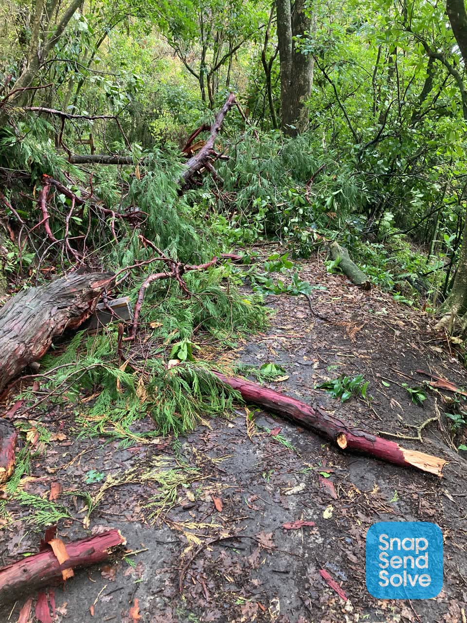 The photograph attached to this parks report