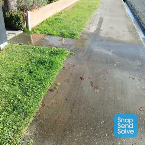 Water Leak, a report photo