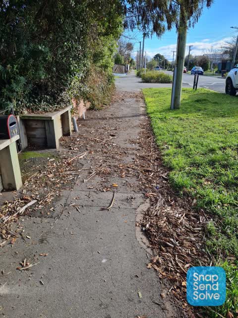 Roading/Streets, a report photo