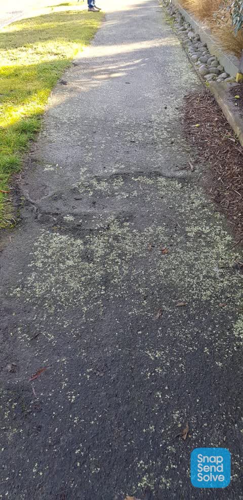Roading/Streets, a report photo