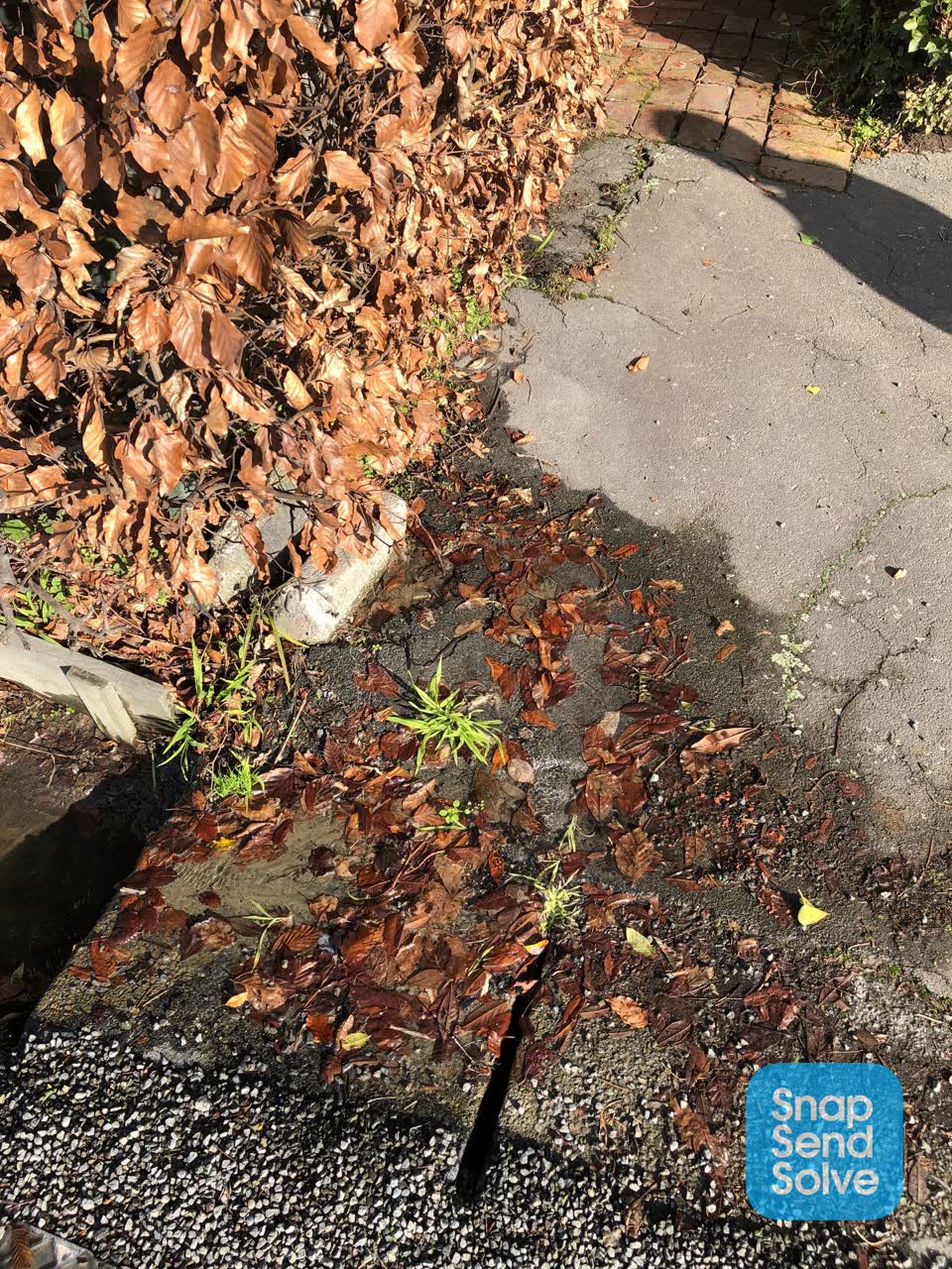 The photograph attached to this water leak report